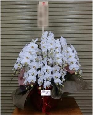１０月１９日（金）のお届け商品画像｜「花銀」　（東京都江戸川区の花キューピット加盟店 花屋）のブログ